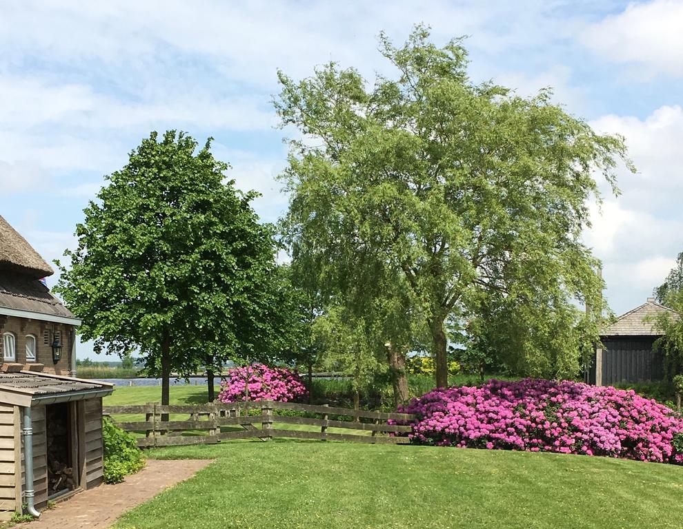 Private Island De Sayter Villa Warten Eksteriør billede