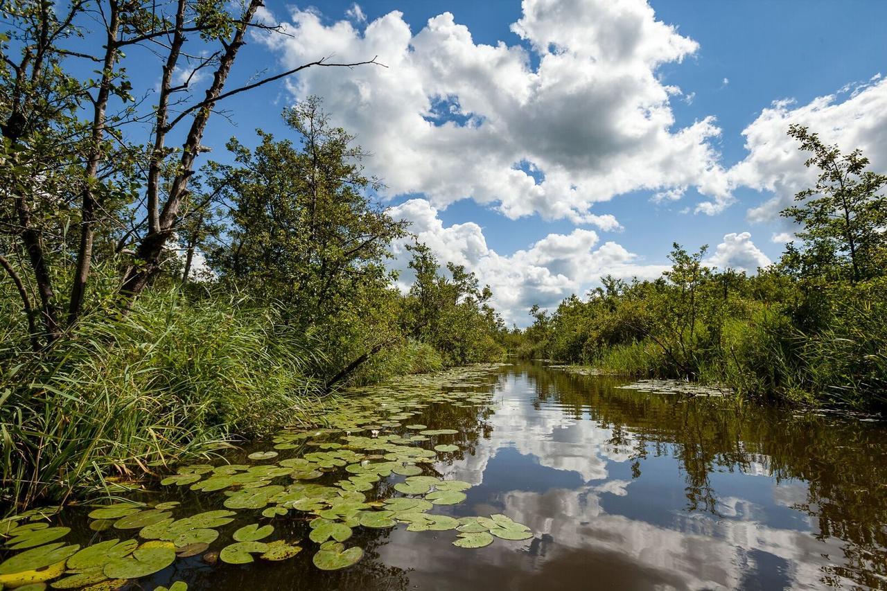 Private Island De Sayter Villa Warten Eksteriør billede